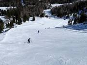 Pendio ripido Weißpriacher