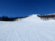 Pista difficile Ølkorken n. 11 (Gullsteinhovda)