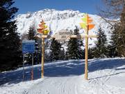 Sentiero nel Bosco (pista nel bosco)