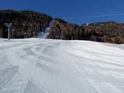 Discesa a valle "Michl"