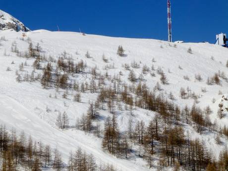Comprensori sciistici per sciatori esperti e freeriding Alpi Marittime (Dipartimento) – Sciatori esperti, freerider Auron (Saint-Etienne-de-Tinée)