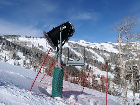 Sicurezza neve Salt Lake City – Sicurezza neve Deer Valley