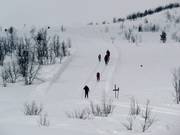 Pista da fondo a Beitostølen