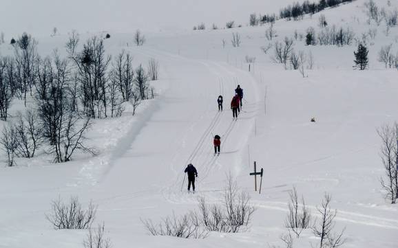 Sci di fondo Valdres – Sci di fondo Beitostølen