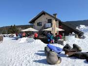 Suggerimento su Rifugi Rifugio Malga Ortesino