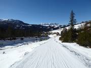 Ultimo tratto della pista n. 1 Armentarola