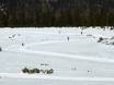 Sci di fondo Alpi della Zillertal – Sci di fondo Zillertal Arena - Zell am Ziller/Gerlos/Königsleiten/Hochkrimml