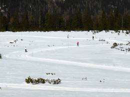 Zillertal Arena - Zell am Ziller/Gerlos/Königsleiten/Hochkrimml