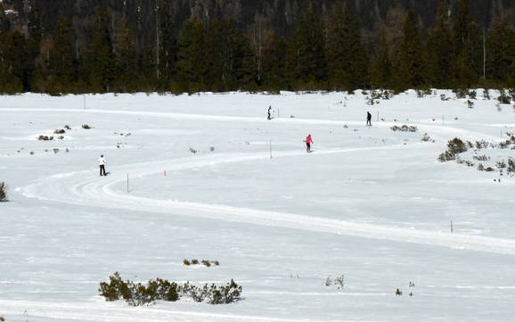 Sci di fondo Zell-Gerlos – Sci di fondo Zillertal Arena - Zell am Ziller/Gerlos/Königsleiten/Hochkrimml