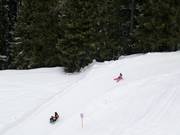 Pista da slittino Rinerhorn