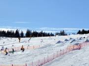 Suggerimento per i più piccoli 