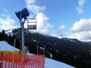 Cannone da neve al Grouse Mountain