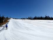 Pista facile Nedre Bøseter n. 29