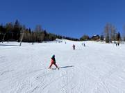 Piste facili presso lo Zirbenlift 2