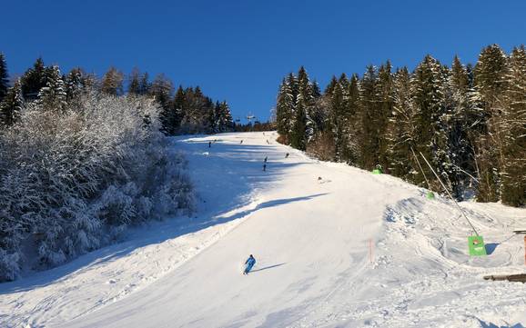 Offerta di piste Alpsee-Grünten – Offerta di piste Ofterschwang/Gunzesried - Ofterschwanger Horn