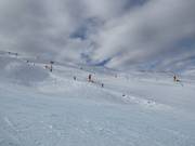 Pista difficile Race Arena