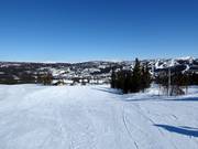 Pista facile Vesleseterbakken