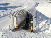 Förderbänder Pardiel - Tapis roulant/Tappeto Magico con galleria