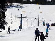 Camelback Platter - Skilift a piattello