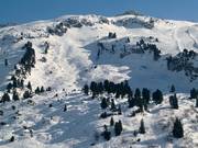 Pendii di neve fresca al Saloberkopf