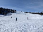 Pista facile e larga Familjebacken a Hundfjället