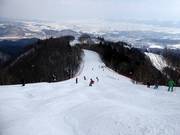Pista moguls Ladies Downhill