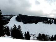 Piste allo Stübenwasenlift