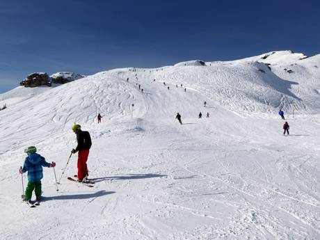 Offerta di piste Ausseerland – Offerta di piste Loser - Altaussee