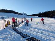 Suggerimento per i più piccoli 