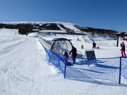 Suggerimento per i più piccoli 