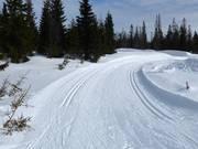 Piste da fondo a Sjusjøen