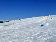 Snowpark per bambini al Chummenbühl