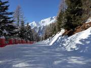 Collegamento della pista Doss dei Cembri