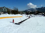 Tappeto mobile Mini Moose