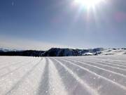 Perfette righe attendono le prime curve