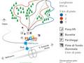 Mappa delle piste Prato (Leventina)