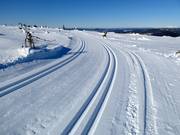 Pista Toppspåret in vetta