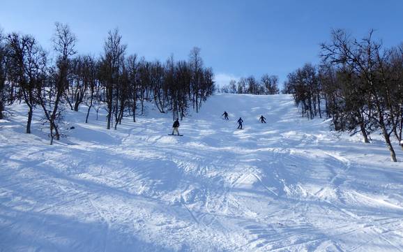 Comprensori sciistici per sciatori esperti e freeriding Funäsfjällen – Sciatori esperti, freerider Tänndalen
