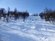 Pista difficile Maggans Fall n. 16
