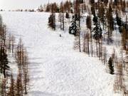 Varco nel bosco presso la cabinovia Pelevos