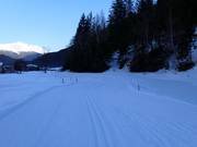 Pista da fondo in Isolaccia