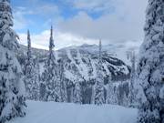 Pendii di neve fresca per esperti