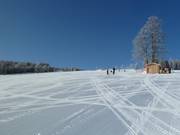 Ottima preparazione delle piste