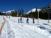 Vlek S - Skilift a piattello