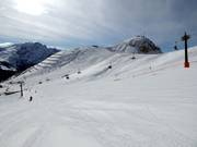 Vista verso il Col Rodella