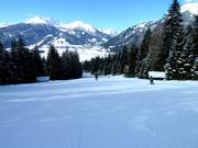 Discesa per famiglie