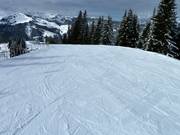 Sulla Wastlhöhe ci sono piste facili