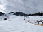 Vista sulla pista da sci al Katzenkopf