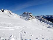 Tracce fresche nella neve