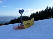 Cannone da neve al Grouse Mountain